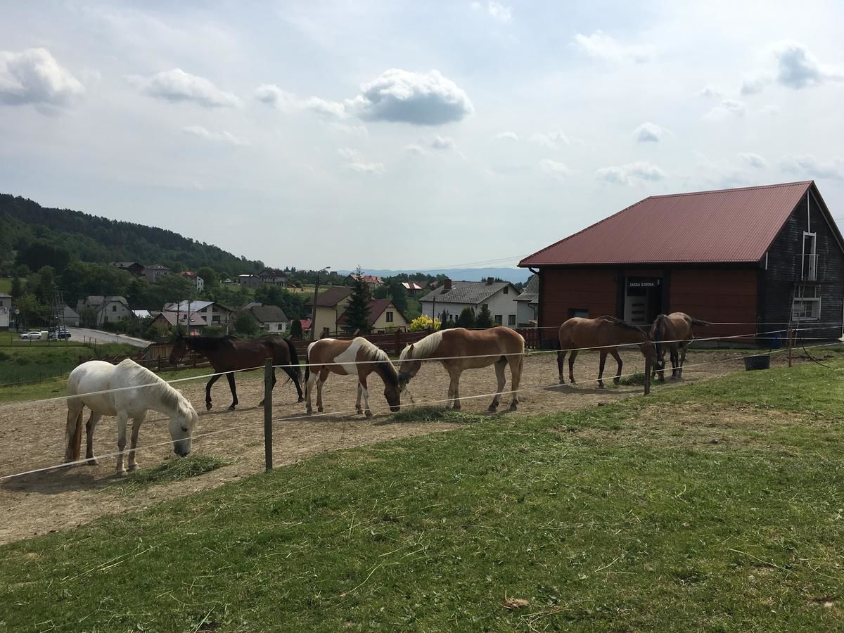 Лоджи Rancho-Bierna Bierna-30