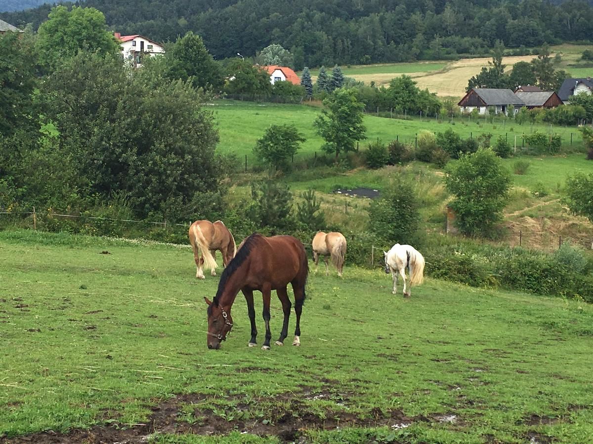 Лоджи Rancho-Bierna Bierna-31