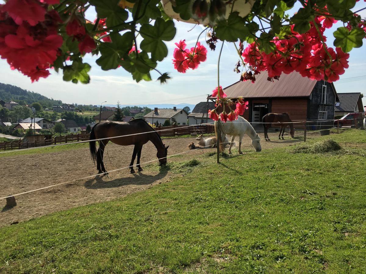 Лоджи Rancho-Bierna Bierna-36