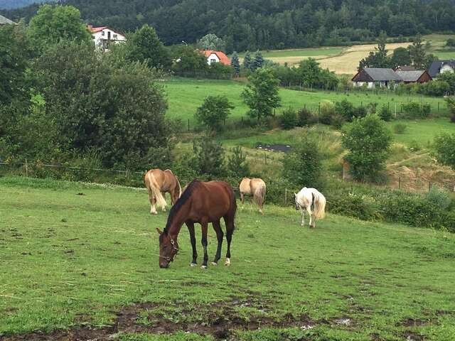 Лоджи Rancho-Bierna Bierna-30