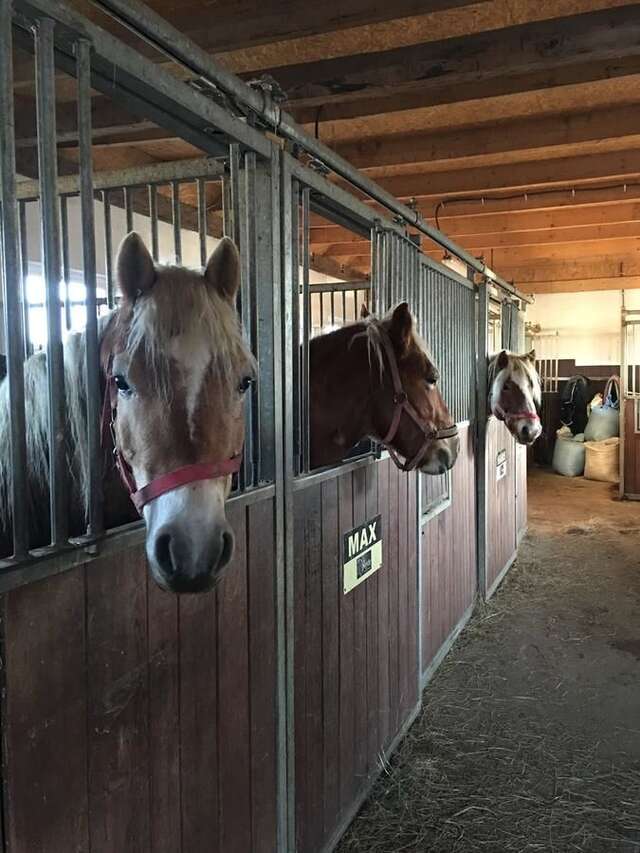 Лоджи Rancho-Bierna Bierna-42